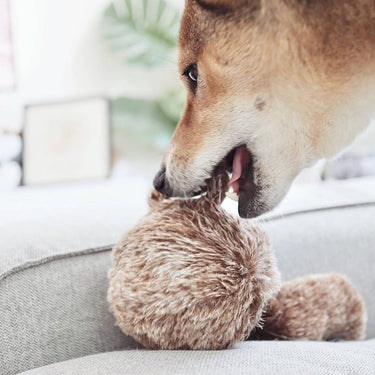 SQUIRREL POP//ENRICHMENT DOG TOY