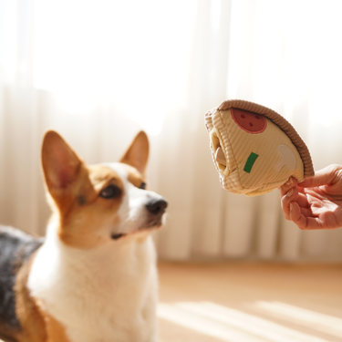 DEEP DISH PIZZA//ENRICHMENT DOG TOY