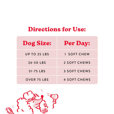 Skin & Coat Food Supplement for Dogs