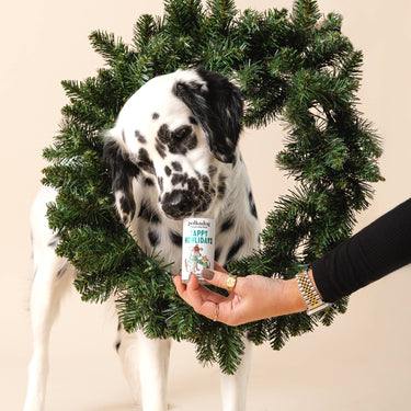 Holiday Mini Tube: Yappy Howlidays - Dog Treats