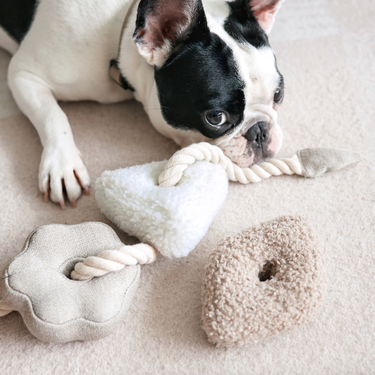 BLOCS//ENRICHMENT DOG TOY // NUDE