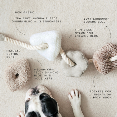 BLOCS//ENRICHMENT DOG TOY // NUDE