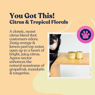 Citrus Coconut-Soy Scented Candle (Pet-Safe)