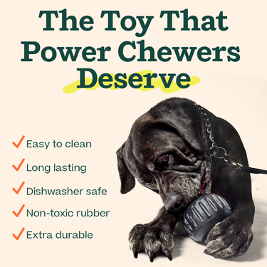 The 'Power Chewer' Pupsicle