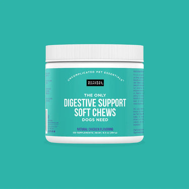 The Only Digestive Support Soft Chews Dogs Need