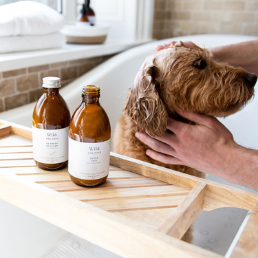 Super Soft: Organic Dog Conditioner