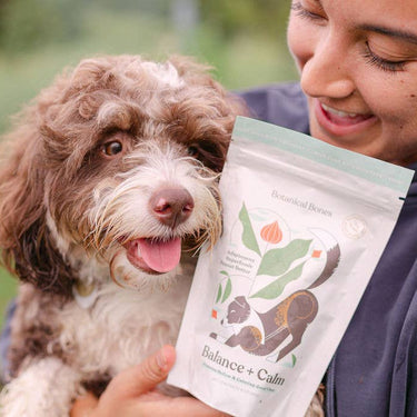 Balance + Calm Cookies - All Natural, Organic Dog Treats