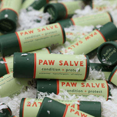 Paw Salve