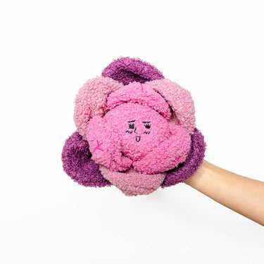 Red Cabbage Nose Work Toy