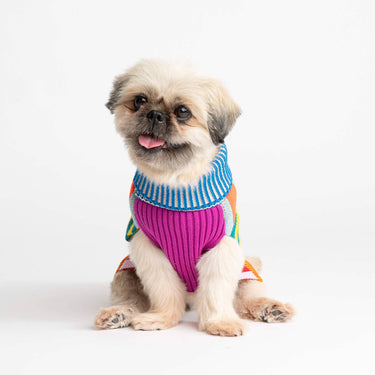 Pattern Patch Dog Sweater, Rainbow