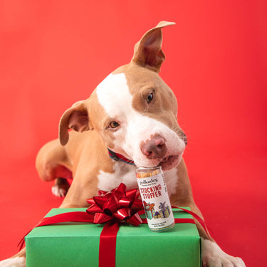 Holiday Mini Tube: Stocking Stuffer - Dog Treats