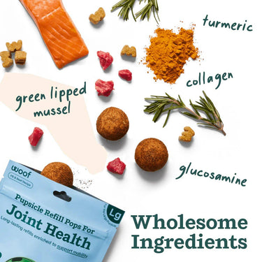 Wholesome nutrition ingredients - Pupsicle refill pops for Joint health 