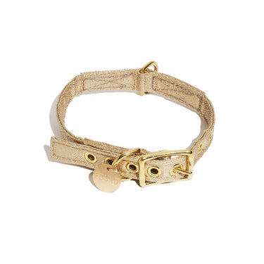 Exclusive! Vintage Gold Cat & Dog Collar | Found My AnimalDog CollarsFound My AnimalXS