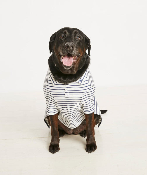 Vineyard Vines X Fma Pet Pique Polo